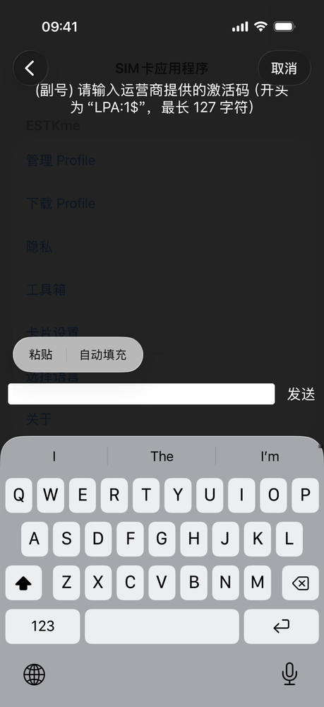 输入激活码界面，可从剪贴板「粘贴」，底部有「发送」按钮