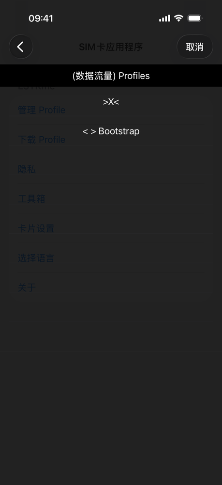 「管理 Profile」界面，列表中显示  表示已停用、 为预置的引导配置