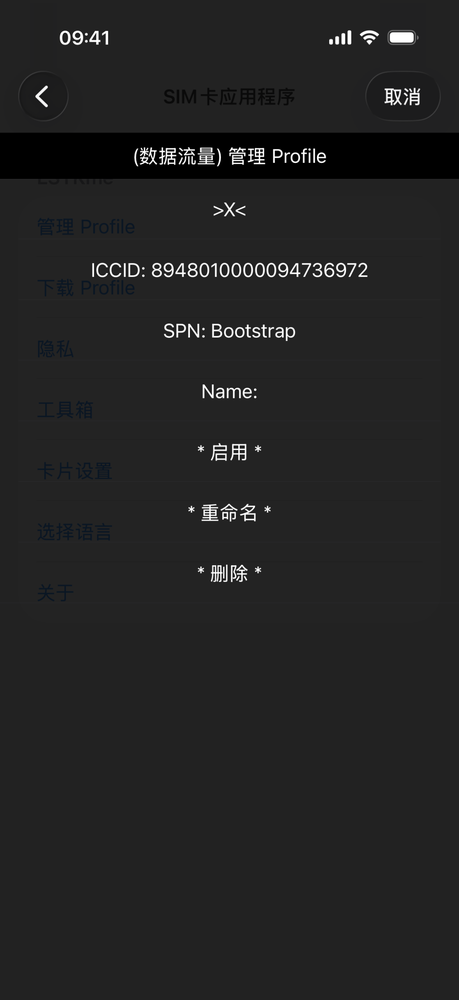 Profile 操作菜单：启用、停用、重命名、删除